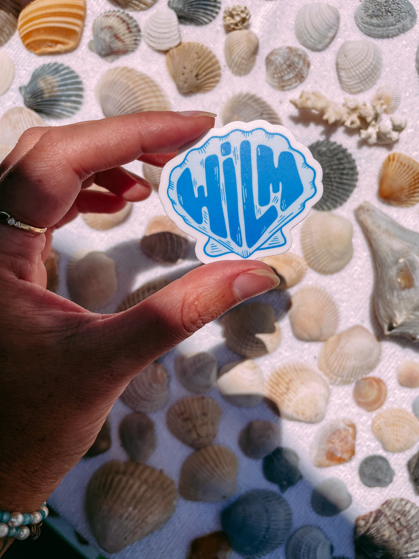 Wilmington Seashell Sticker