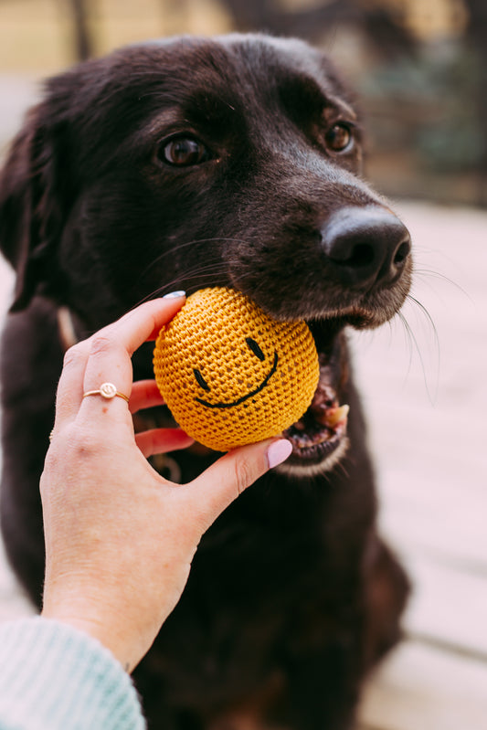 Smiley Face Dog Toy