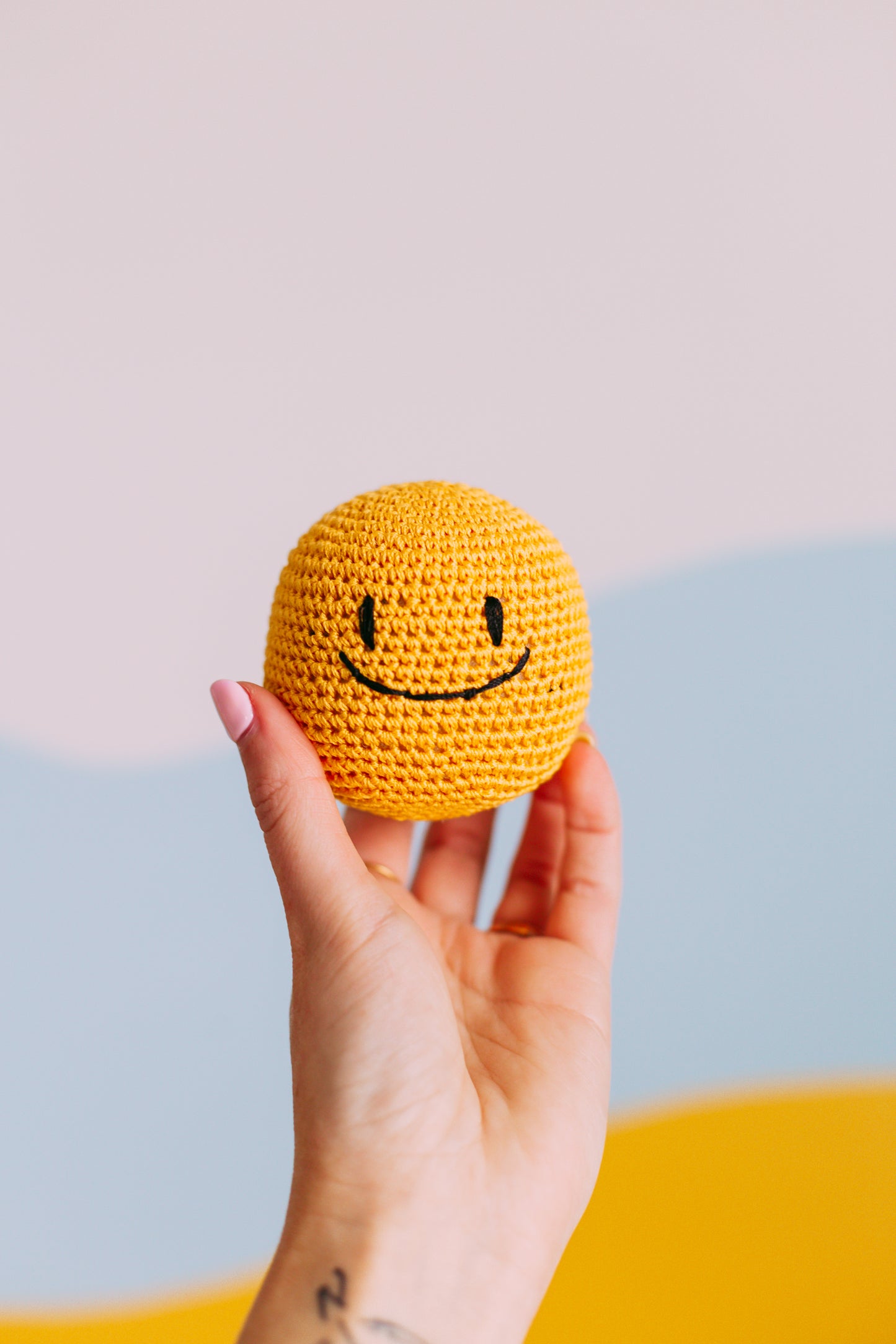 Smiley Face Dog Toy